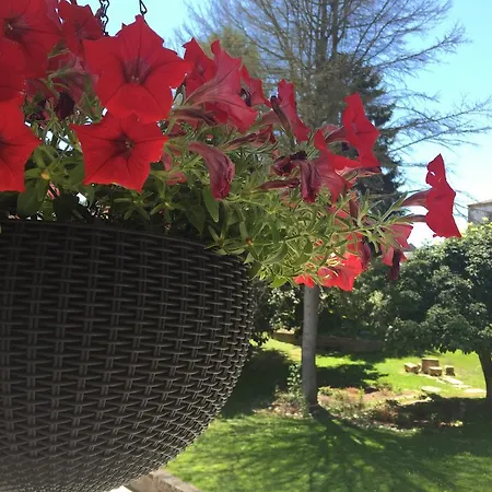 엘 패드리노 3* 포르토마린